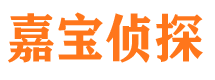 长武市调查公司